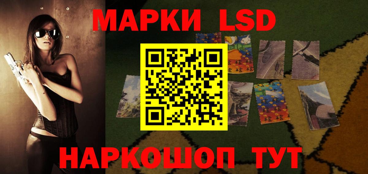 Галлюциногенные грибы Новосибирск