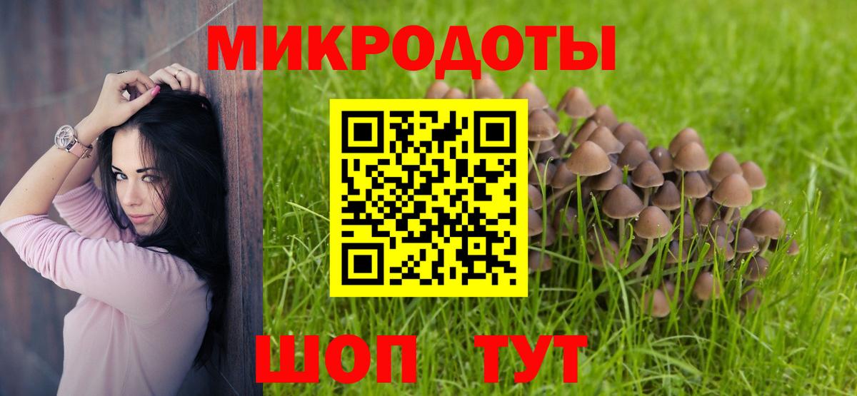 Псилоцибиновые грибы ЛСД Новосибирск